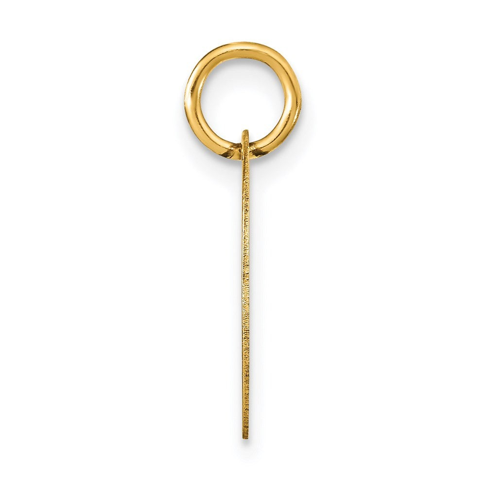 14k Yellow Gold Polished Black Enamel Letter D Initial Disk Charm Pendant