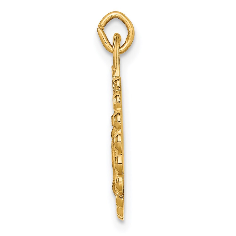 14k Yellow Gold Solid Polished Satin Small Scalloped Miraculous Medal