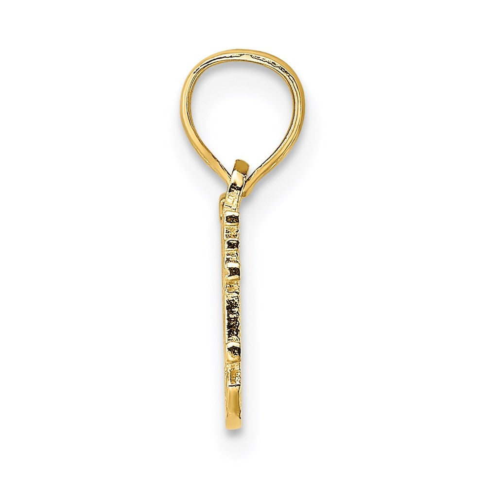 14k Yellow Gold SOMEONE SPECIAL Charm