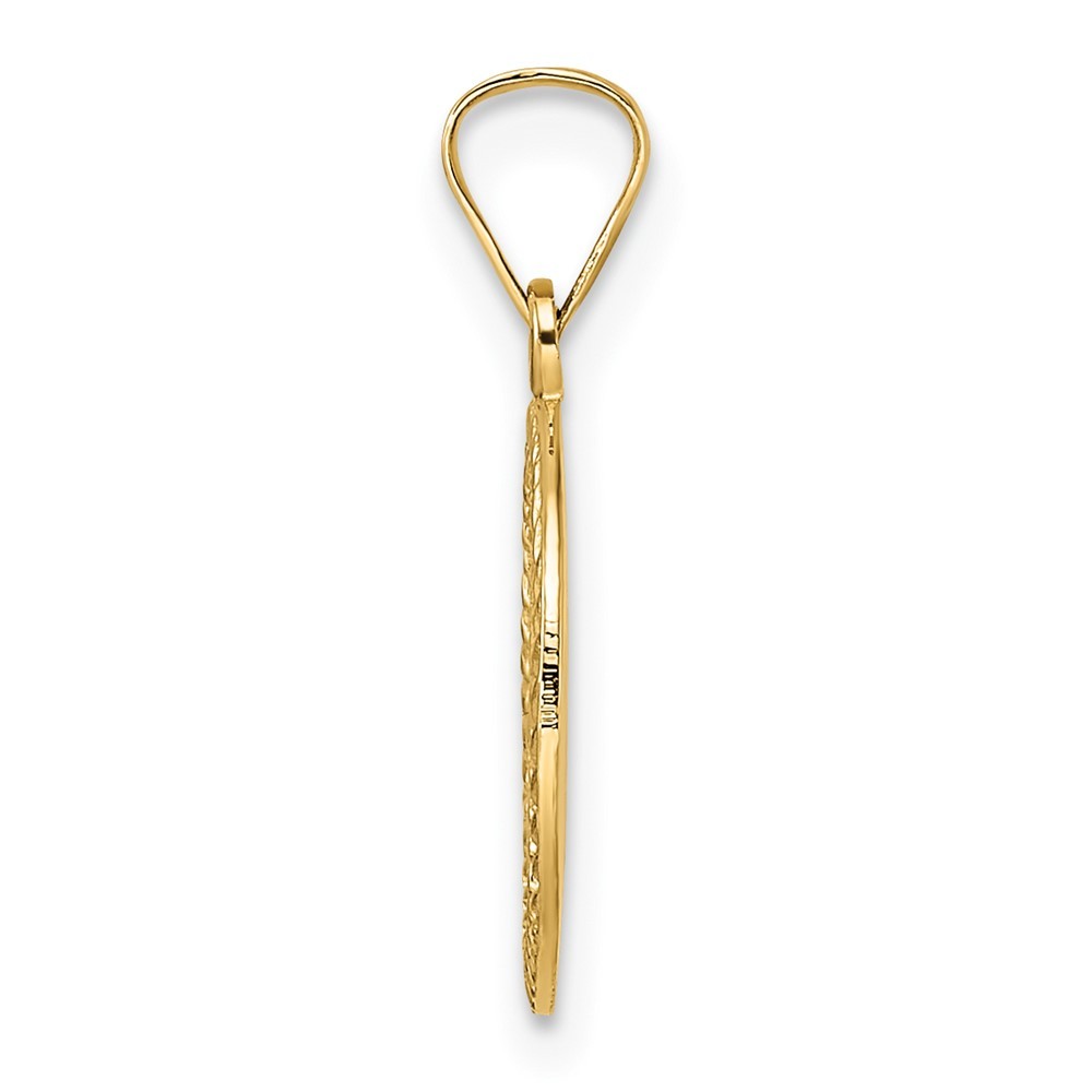 14k Yellow Gold Polished and Textured Solid Star of David in Frame Pendant