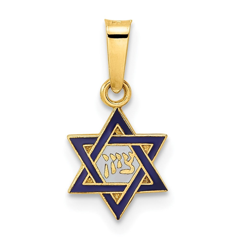 14k Yellow Gold Polished and Enameled Solid Star of David Pendant