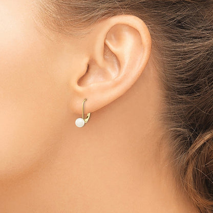 14k Yellow Gold 5-6mm Akoya Saltwater Cultured Pearl Leverback Earrings