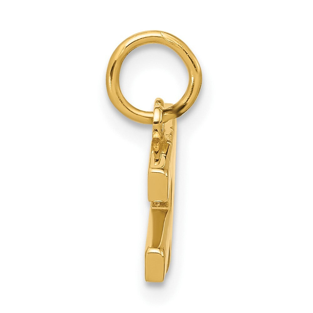 14k Yellow Gold Fancy GIRLS RULE WORLD Pendant for Women