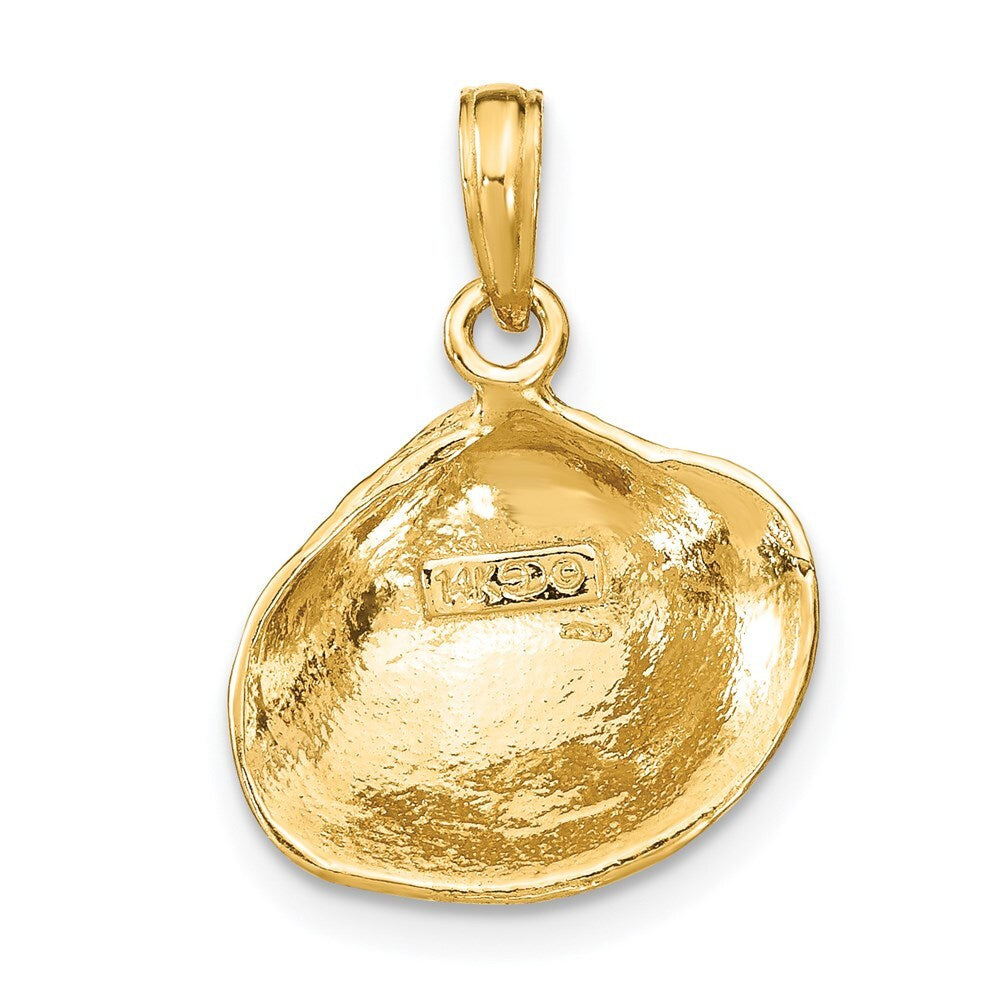 14k Yellow Gold Medium Clam Shell Pendant for Women