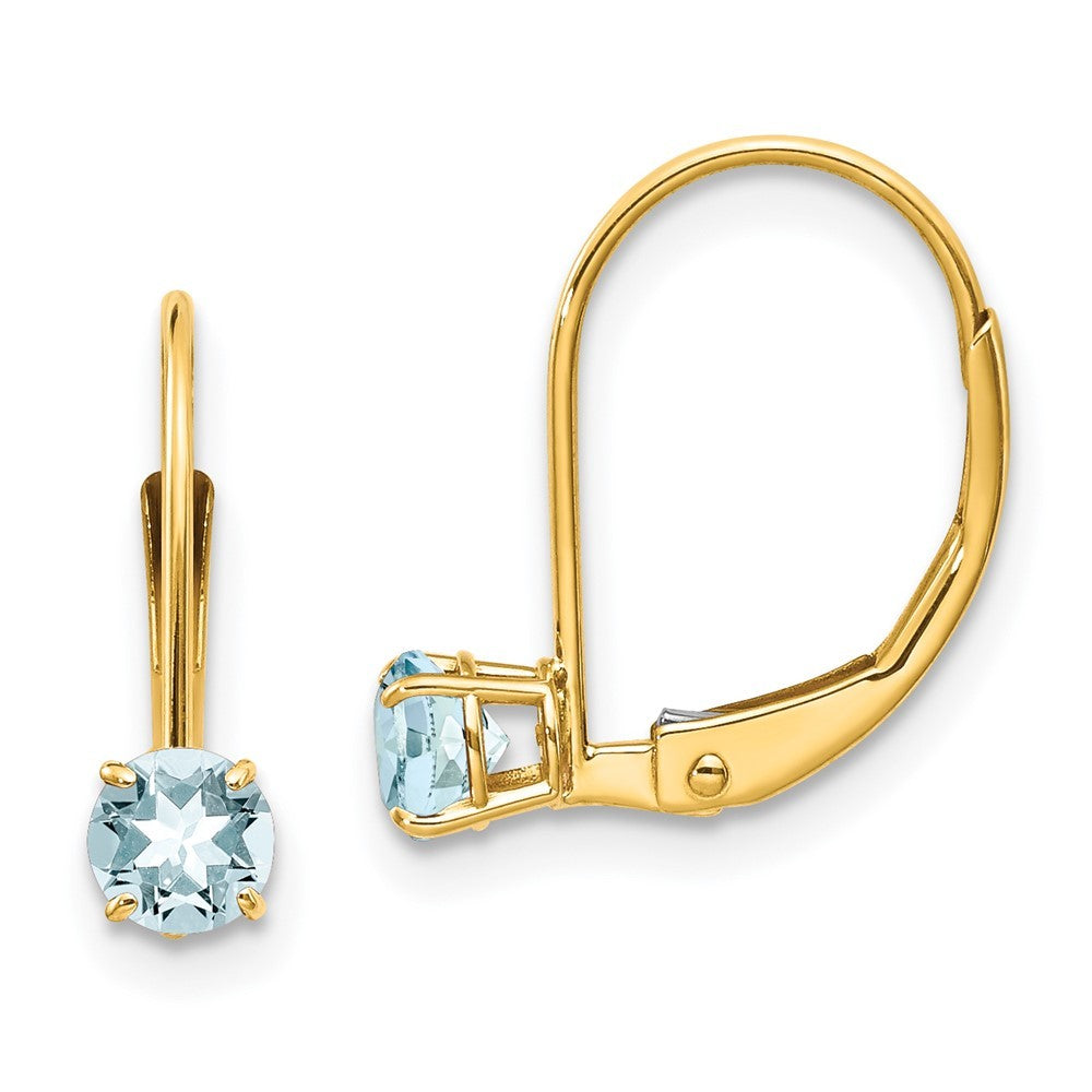 14k Yellow Gold Aquamarine Earrings - March