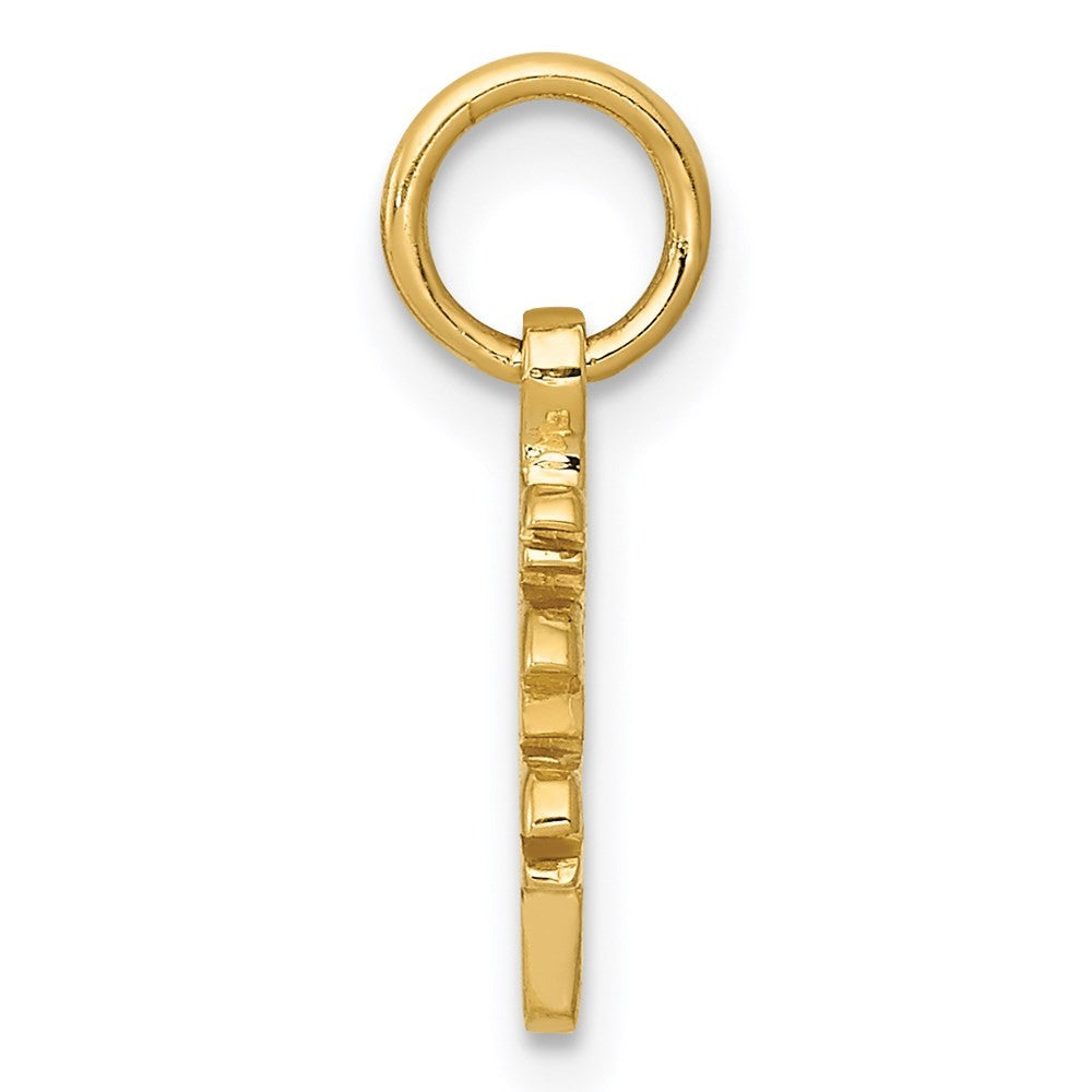 14k Yellow Gold Solid Polished Chinese Long Life Charm Pendant