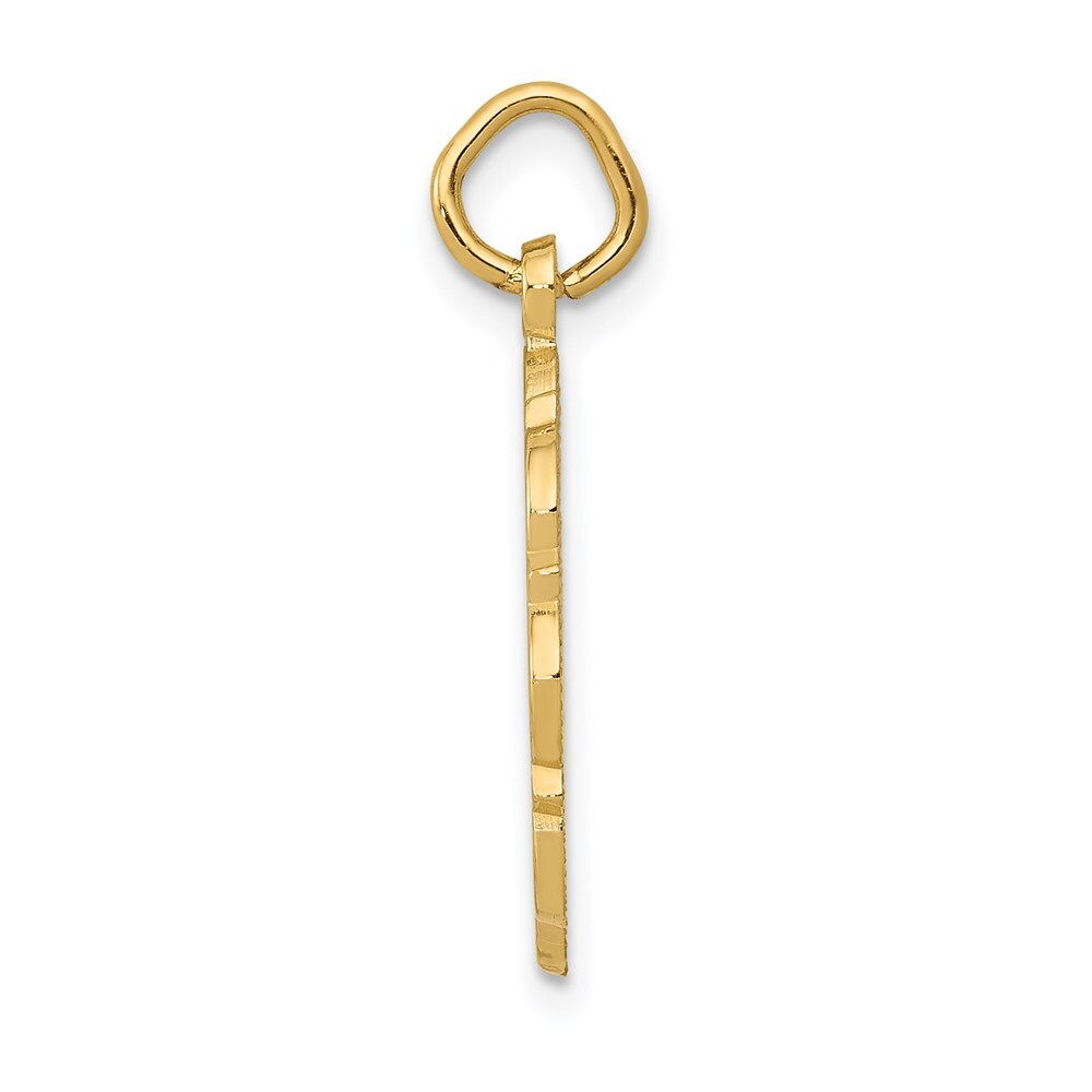 14k Yellow Gold RN Registered Nurse Disc Charm Pendant for Women