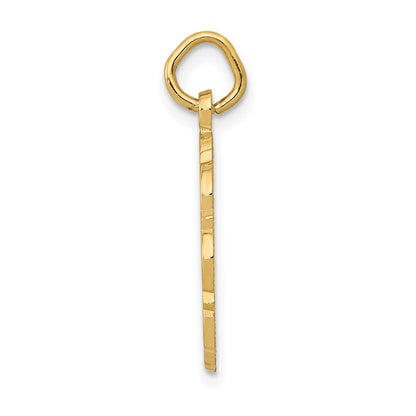 14k Yellow Gold RN Registered Nurse Disc Charm Pendant for Women