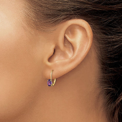 14k Yellow Gold 6x4mm Oval Amethyst Leverback Earrings Gift for Women