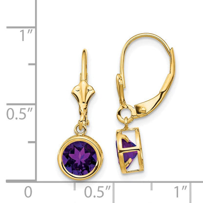 14k Yellow Gold 6mm Amethyst Leverback Earrings Gift for Women