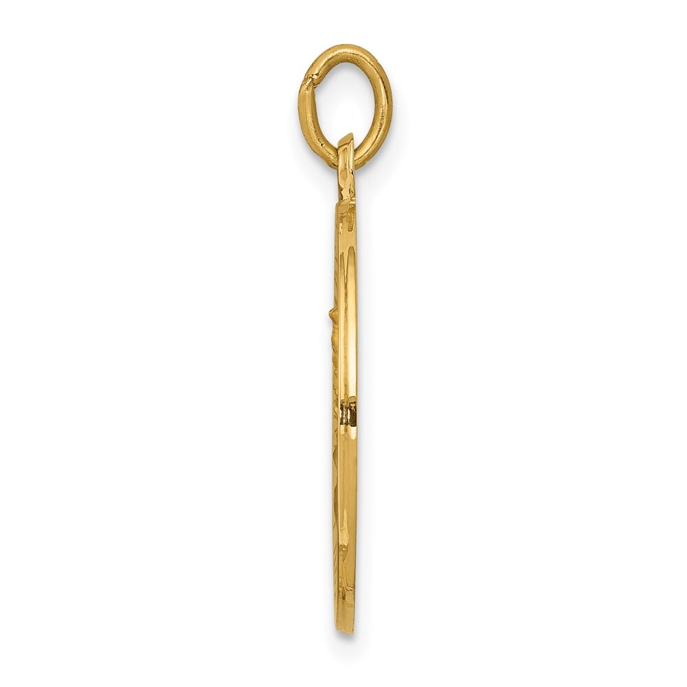 14k Yellow Gold Our Lady of Mt. Carmel Medal Charm Pendant for Women