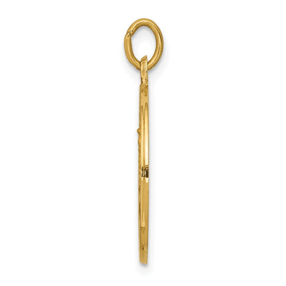14k Yellow Gold Our Lady of Mt. Carmel Medal Charm Pendant for Women