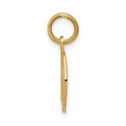 14k Yellow Gold Horseshoe Charm Pendant for Women
