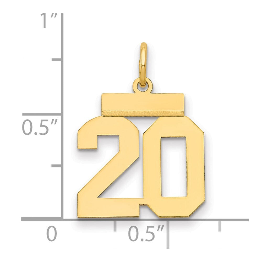 14k Yellow Gold Small Polished Number 20 Charm Pendant for Women