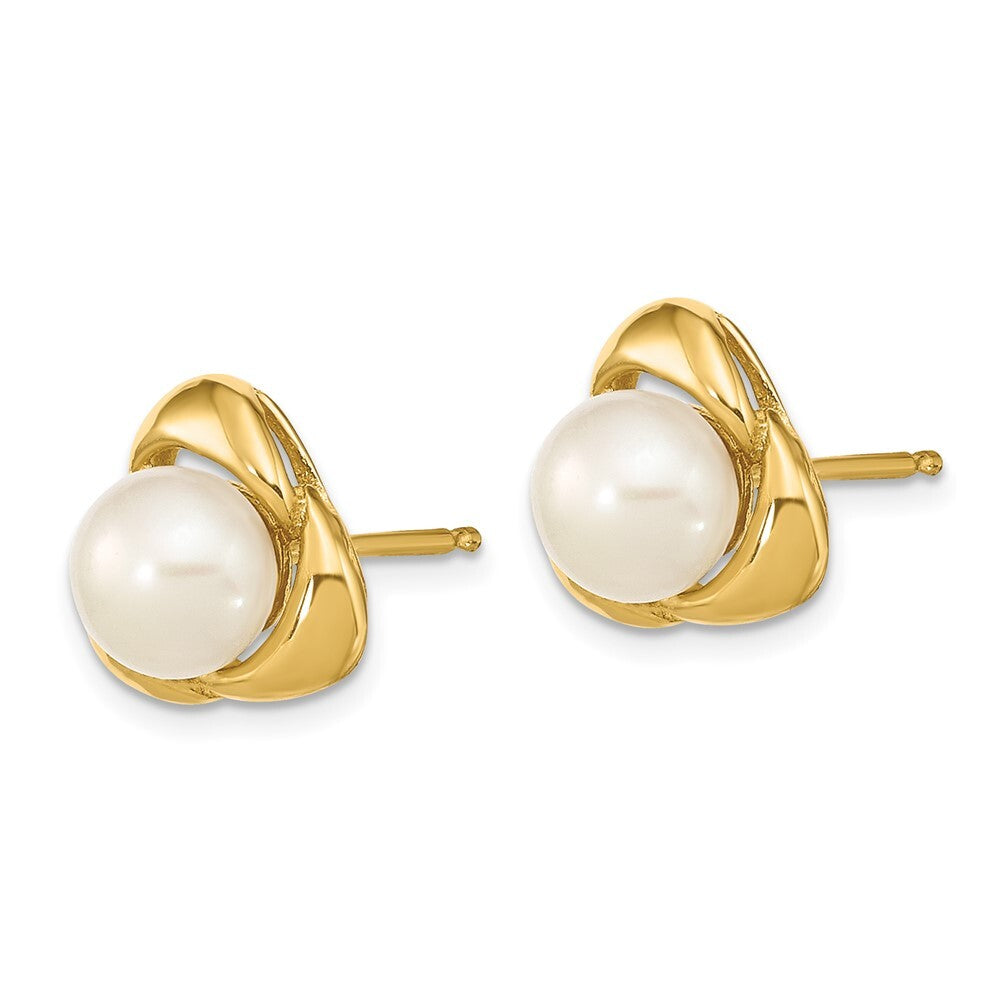 14k Yellow Gold 5-6mm White Button Freshwater Cultured Pearl Stud Earrings