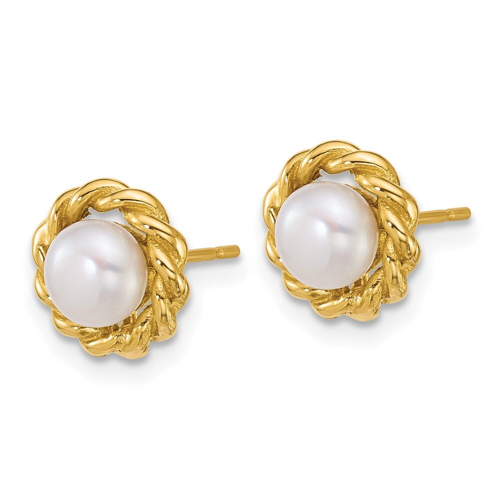 14k Yellow Gold 6mm Button Freshwater Cultured Pearl Twisted Edge Stud Earrings
