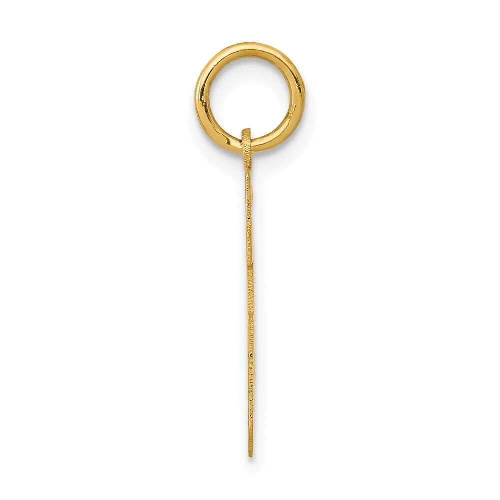 14k Yellow Gold Small Polished Number 15 Charm Pendant for Women
