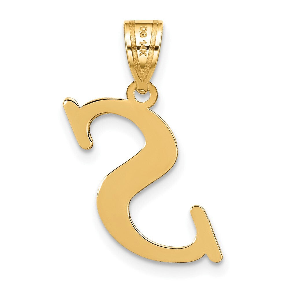 14k Yellow Gold Polished Letter S Initial Pendant for Women