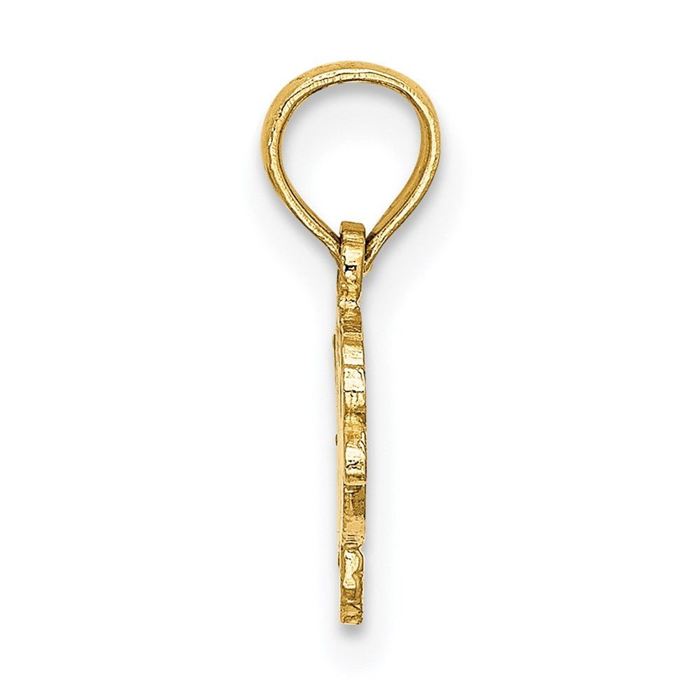 14k Yellow Gold Flat Engraved Playful Fish Charm