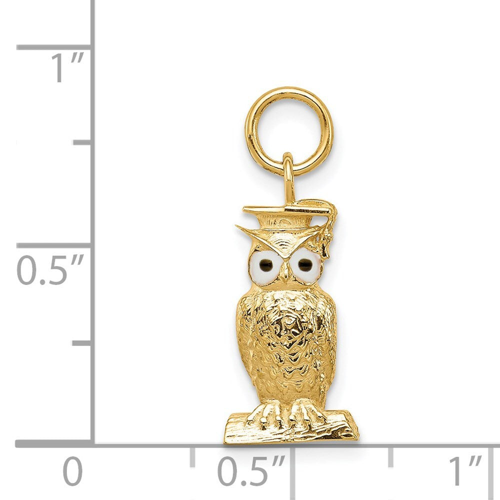 14k Yellow Gold Graduation Owl Charm Pendant with Enamel for Women