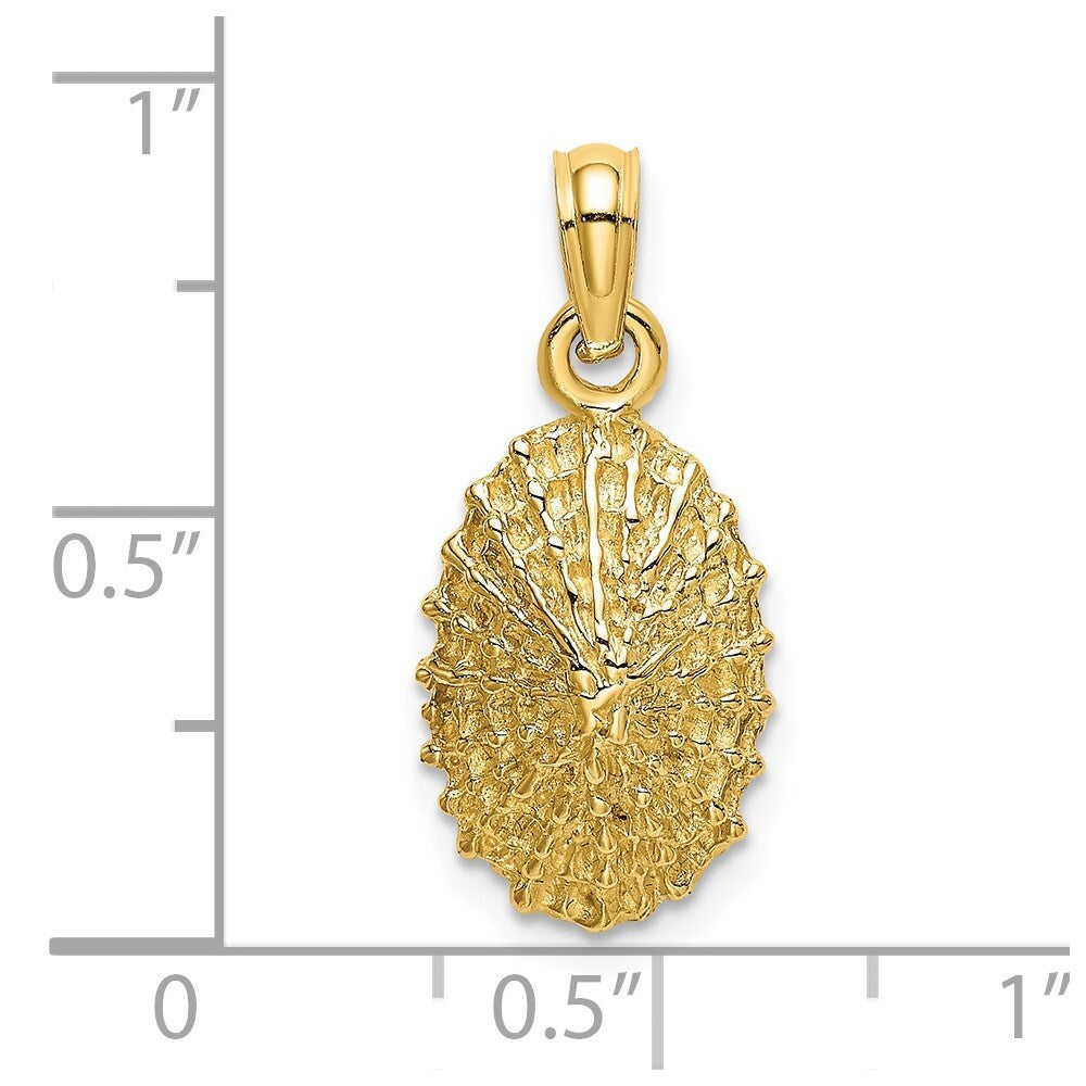 14k Yellow Gold Textured Limpet Shell Charm Pendant for Women
