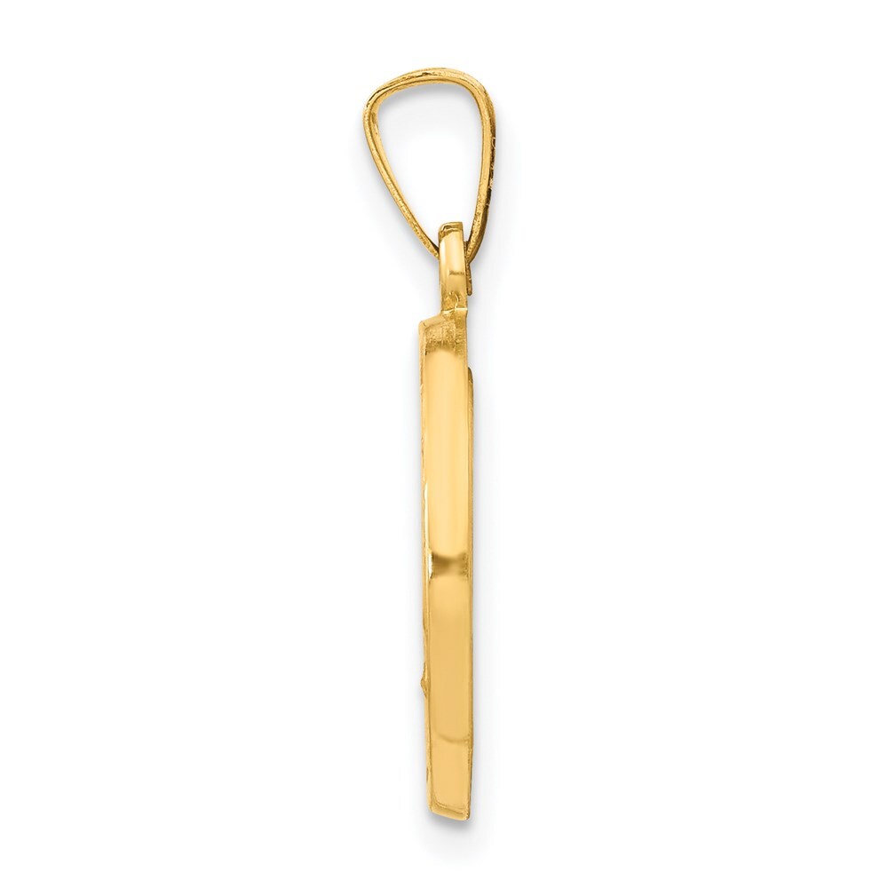 14k Yellow Gold Polished and Satin Miraculous Medal Hollow Pendant for Women