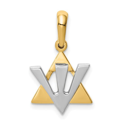 14k Two-tone Gold Star of David Shin Charm Pendant for Women