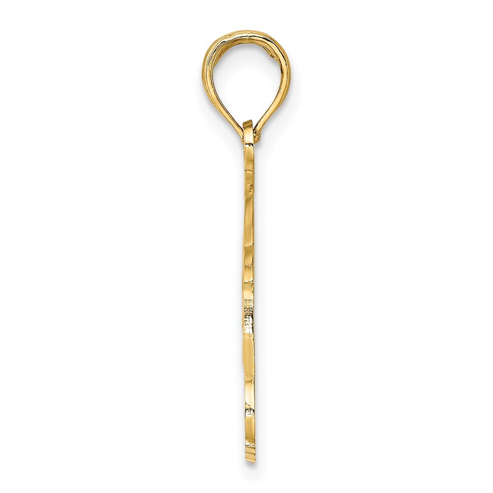 14k Yellow Gold NAPLES FLORIDA Jumping Dolphins Charm Pendant for Women