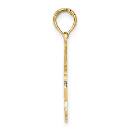 14k Yellow Gold NAPLES FLORIDA Jumping Dolphins Charm Pendant for Women