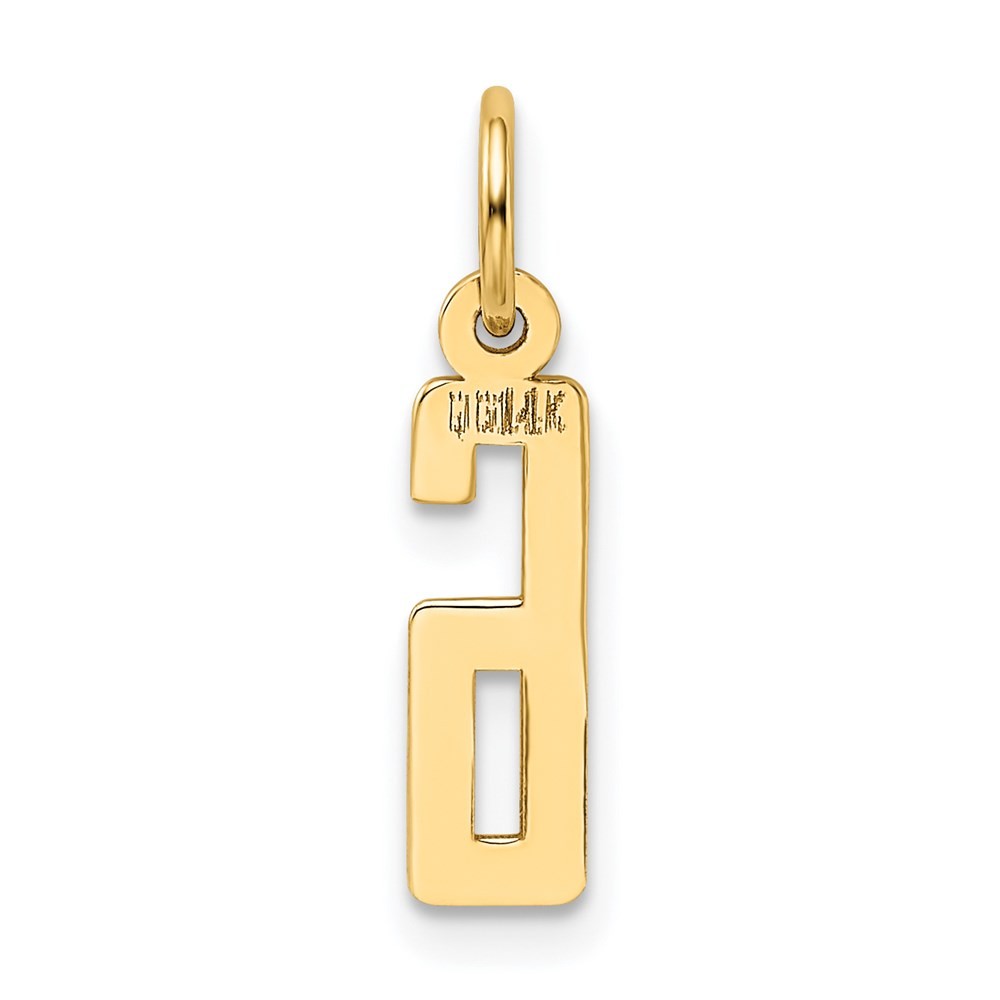 14k Yellow Gold Small Elongated Number 6 Charm