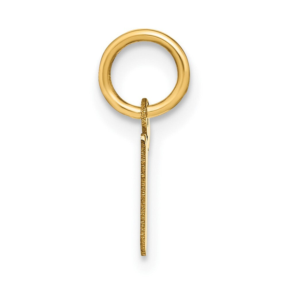 14k Yellow Gold Lowercase Letter R Initial Pendant for Women