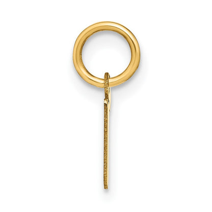 14k Yellow Gold Lowercase Letter R Initial Pendant for Women