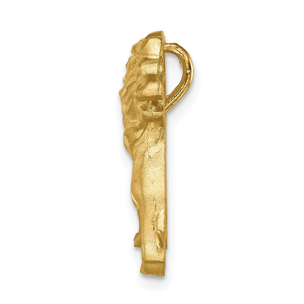 14k Yellow Gold Brushed Diamond-cut Lion Chain Slide Pendant for Women