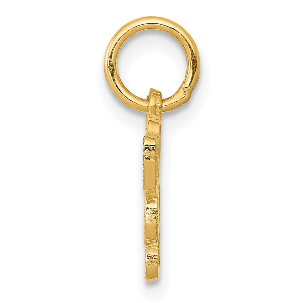 14k Yellow Gold Saint Bernard Charm Pendant