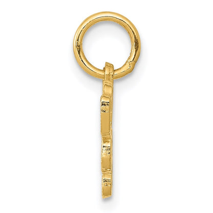 14k Yellow Gold Saint Bernard Charm Pendant