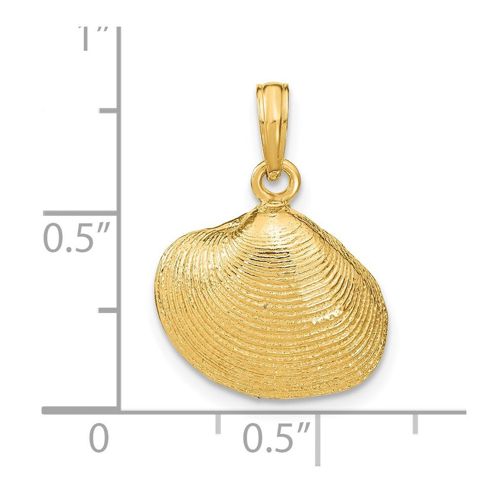 14k Yellow Gold Medium Clam Shell Pendant for Women