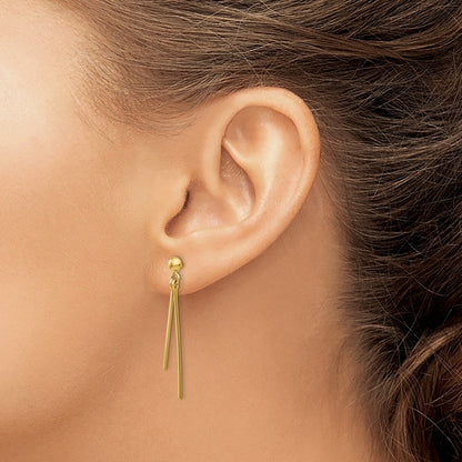 14k Yellow Gold Polished Dangle Earrings