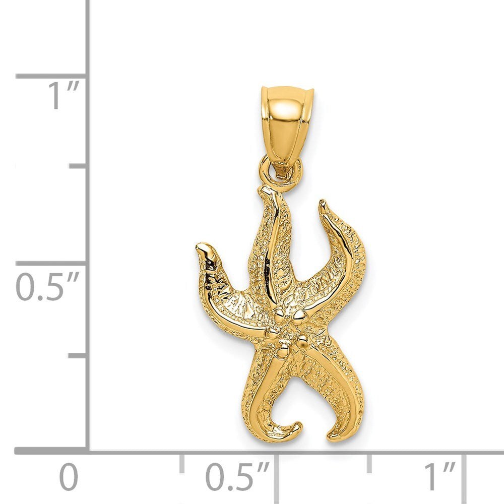 14k Yellow Gold Textured Starfish Charm Pendant for Women