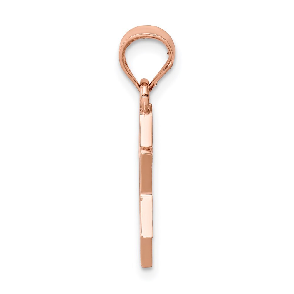 14k Rose Gold Rose Polished Star of David Pendant for Women