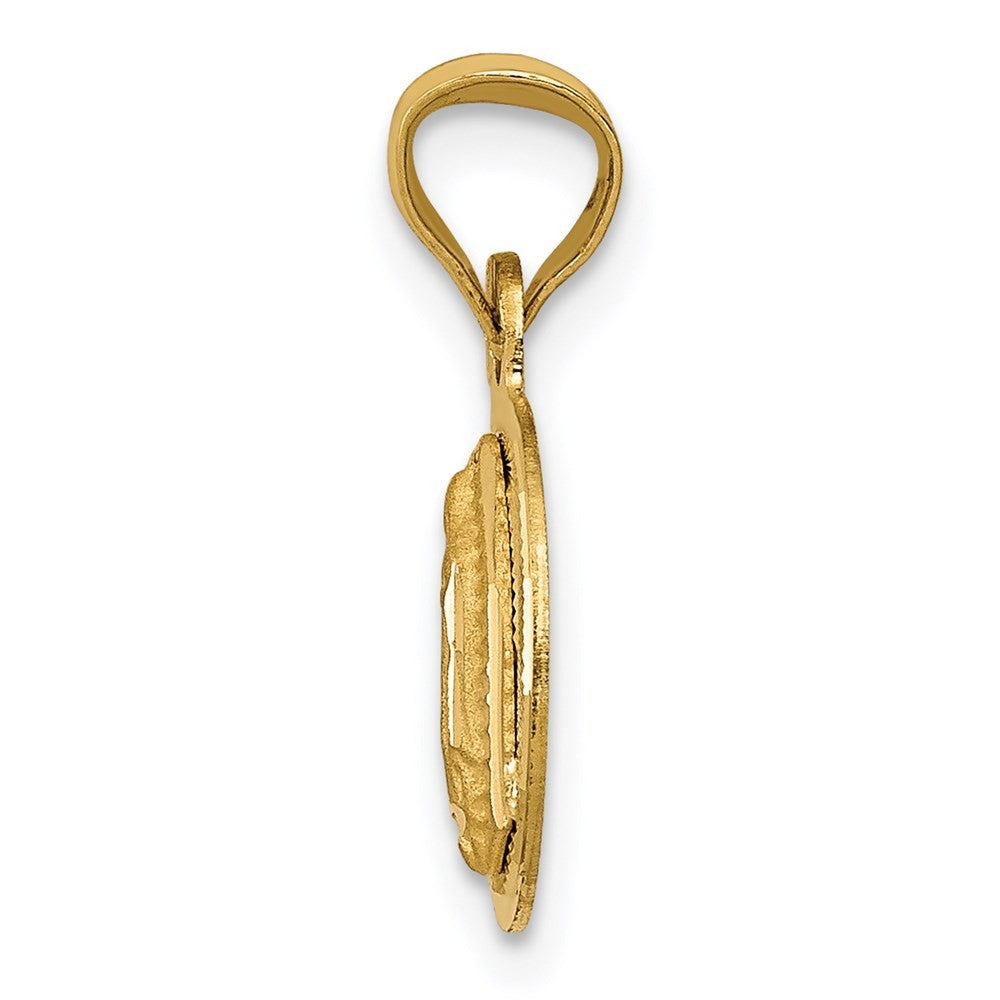 14k Yellow Gold Polished Diamond-Cut Lady Of Guadalupe Circle Pendant
