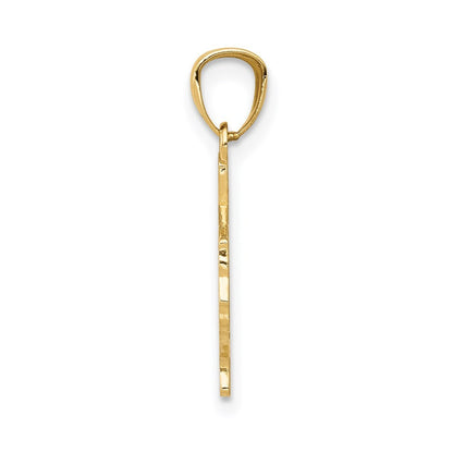 14k Yellow Gold State of TEXAS Map Pendant for Women