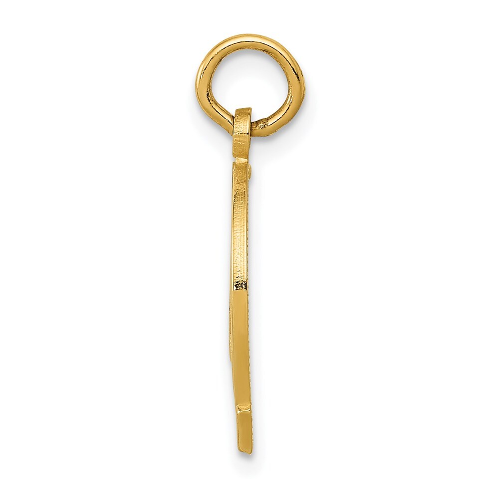 14k Yellow Gold Horseshoe Charm Pendant for Women