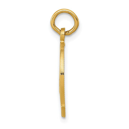14k Yellow Gold Horseshoe Charm Pendant for Women