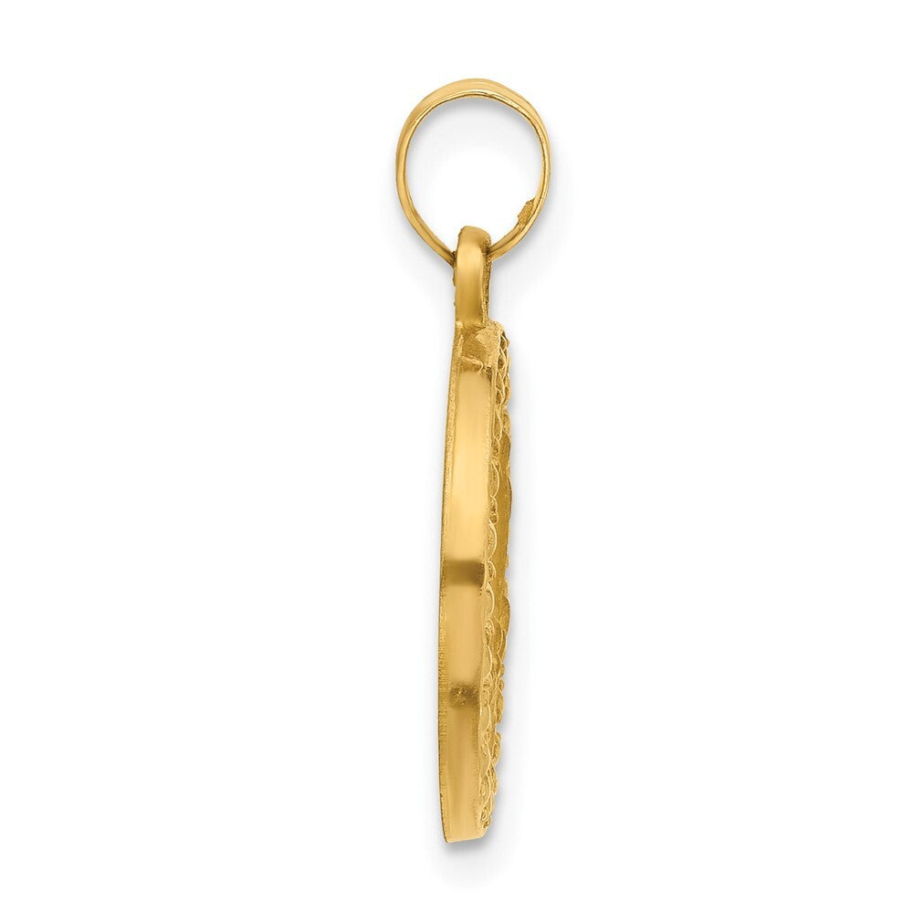 14k Yellow Gold Satin and Polished St Anthony Medal Circle Pendant for Women