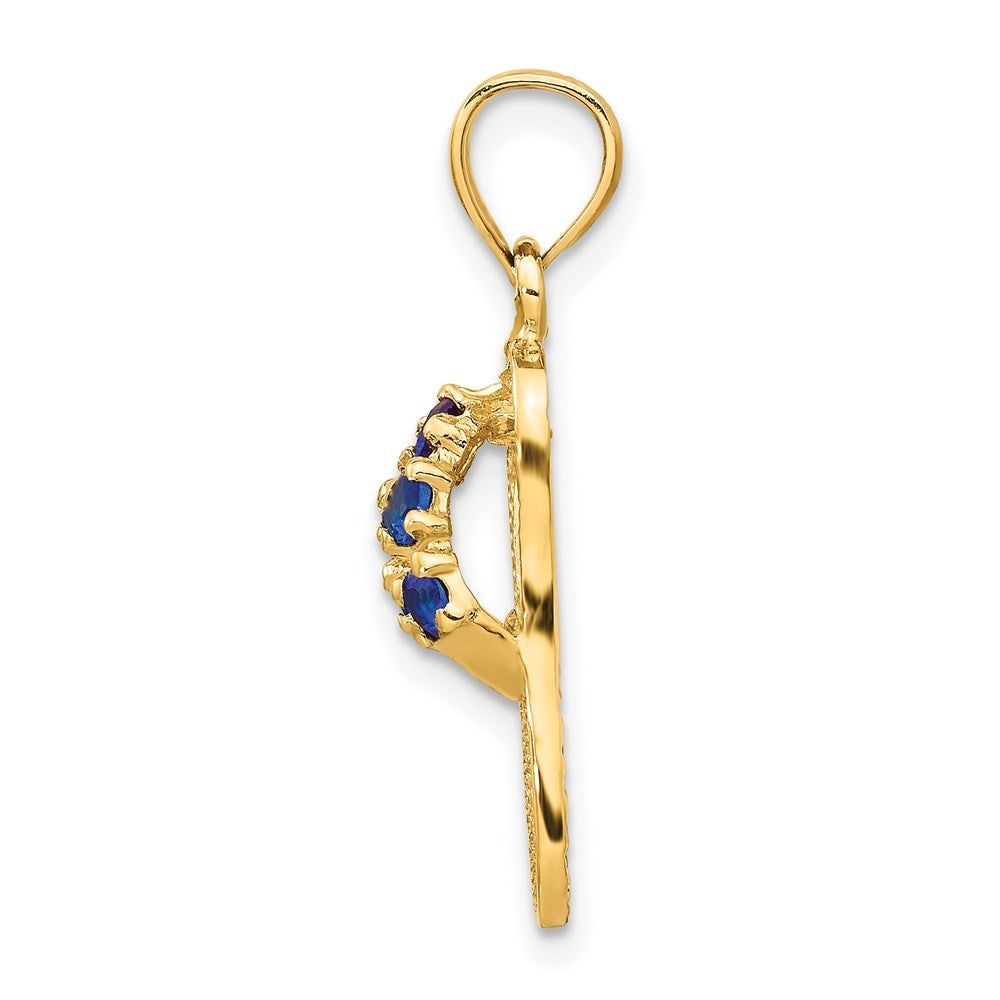 14k Yellow Gold 3D September/Cubic Zirconia Birthstone Flip Flop Pendant