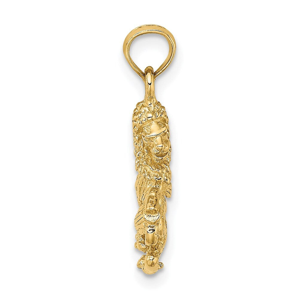 14k Yellow Gold 3-D Leo Zodiac Charm Pendant for Women
