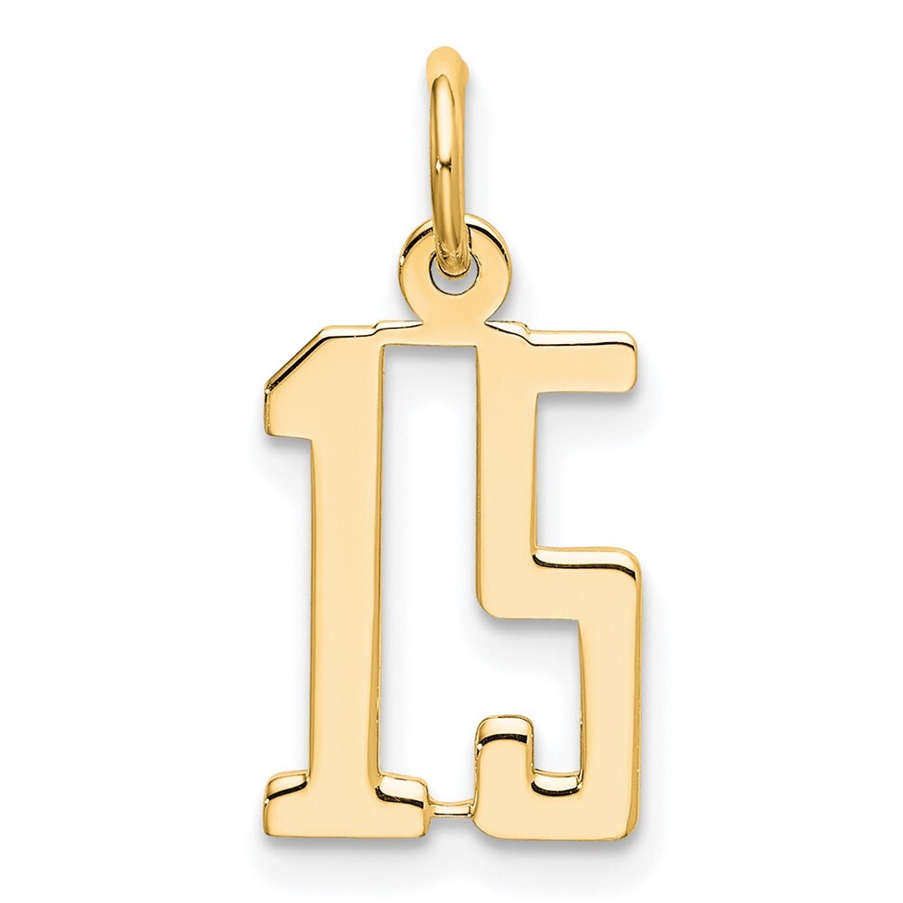 14k Yellow Gold Small Elongated Number 15 Charm Pendant for Women