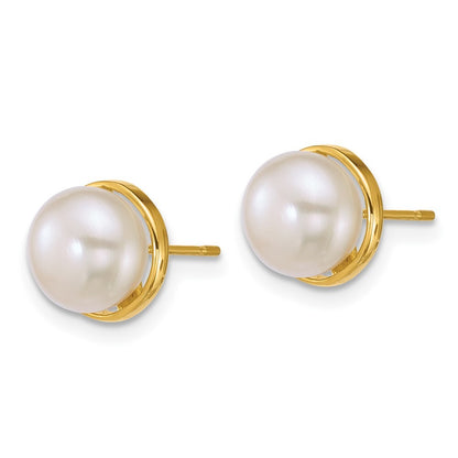 14k Yellow Gold Polished 8mm Button Freshwater Cultured Pearl Stud Earrings