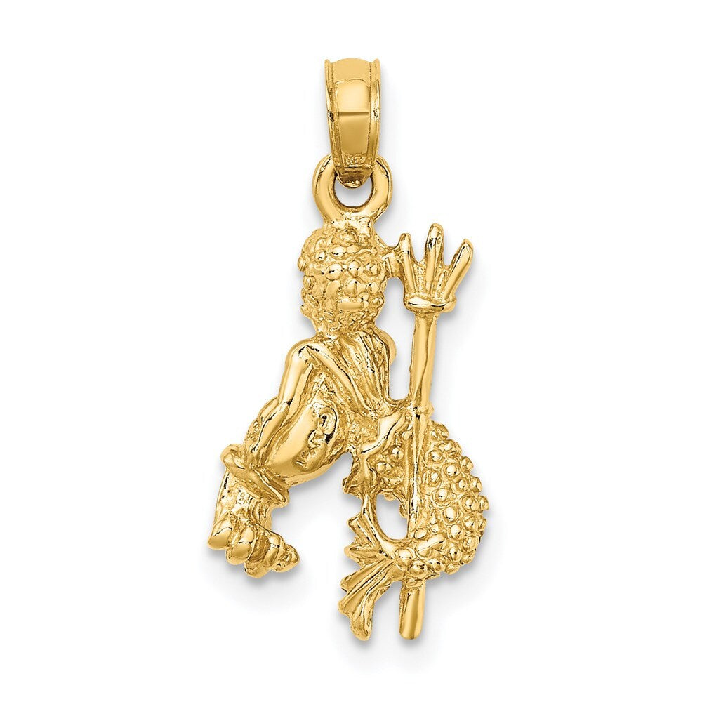 14k Yellow Gold 3-D Aquarius Zodiac Charm Pendant for Women