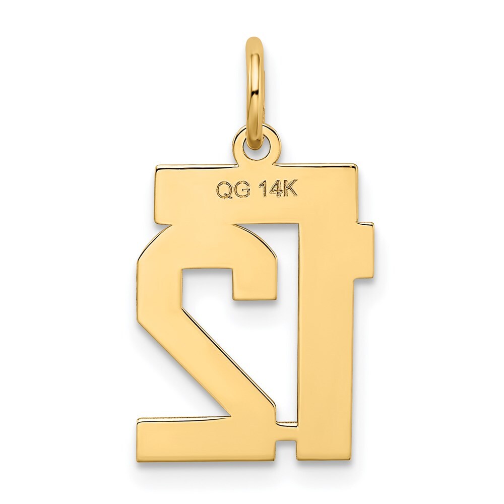 14k Yellow Gold Small Satin Number 12 Charm Pendant for Women